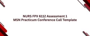 NURS FPX 6112 Assessment 1 MSN Practicum Conference Call Template